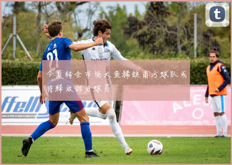 今夏转会市场大鱼稀缺南方球队或将释放部分球员