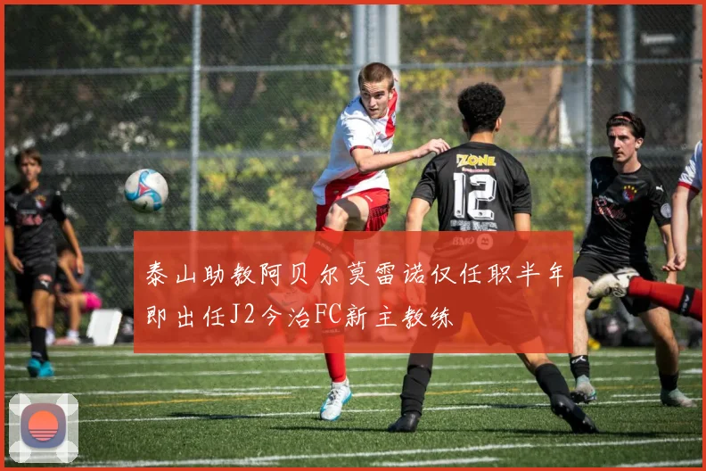 泰山助教阿贝尔莫雷诺仅任职半年即出任J2今治FC新主教练